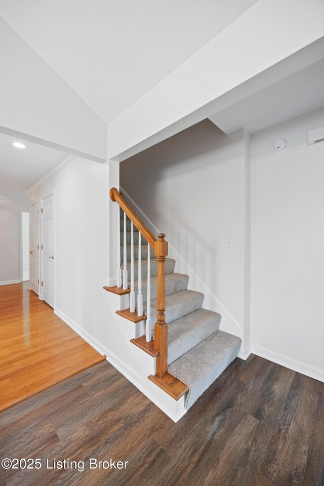 4006 Lilac Spring Dr, Louisville, KY 40241 - photo 24