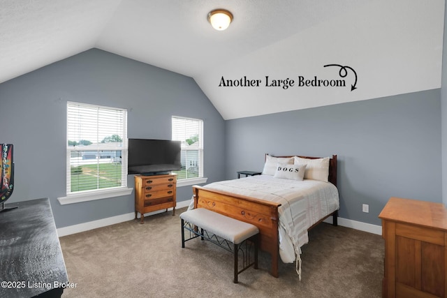 113 S River Crst, Mt Washington, KY 40047 - photo 29