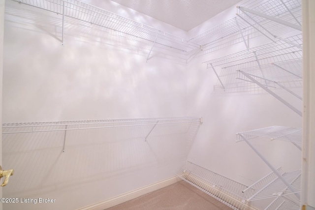 236 Bobwhite Rd, Brandenburg, KY 40108 - spacious closet with carpet floors