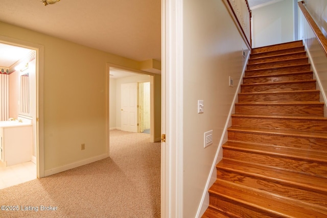 236 Bobwhite Rd, Brandenburg, KY 40108 - stairway featuring baseboards and carpet