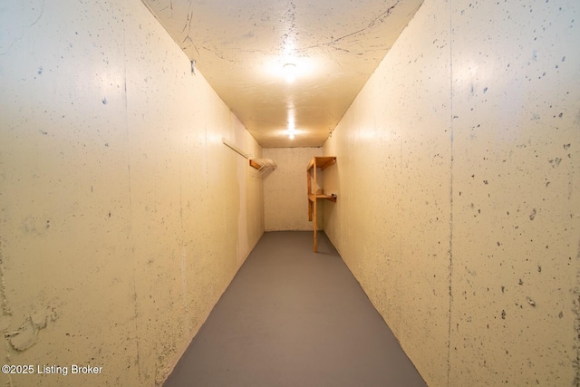 236 Bobwhite Rd, Brandenburg, KY 40108 - hall with finished concrete floors
