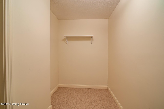 236 Bobwhite Rd, Brandenburg, KY 40108 - spacious closet featuring light colored carpet