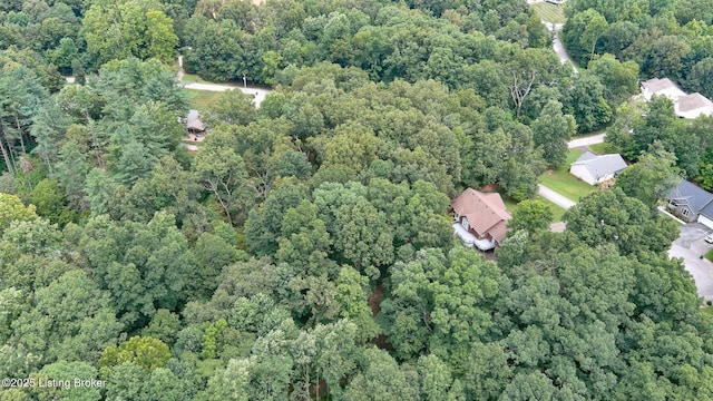 236 Bobwhite Rd, Brandenburg, KY 40108 - view of property location with a forest