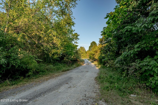 0 Woodlawn Dr, Bloomfield, KY 40008 - photo 11