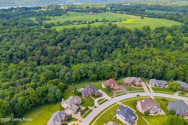 13317 Ridgemoor Dr, Prospect, KY 40059 - photo 17