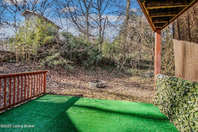 152 N Ewing Ave, Louisville, KY 40206 - photo 48