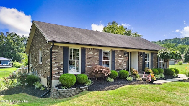 8106 Tonya Ct, Louisville, KY 40214 - photo 4