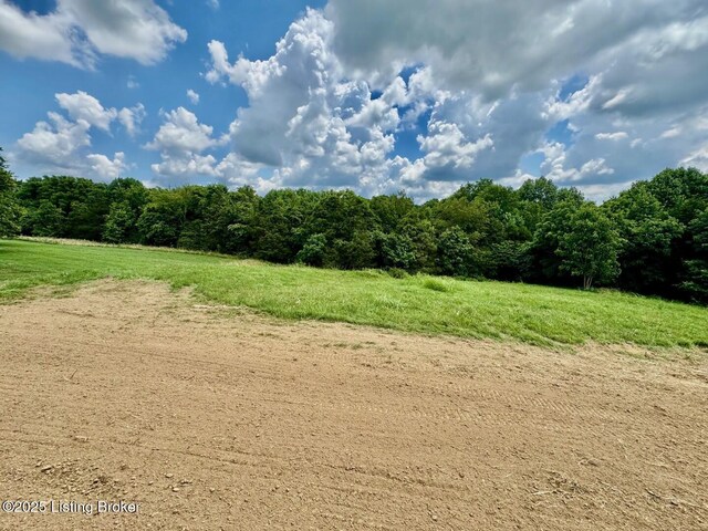 317 Hillsboro Ln, Springfield, KY 40069 - photo 8