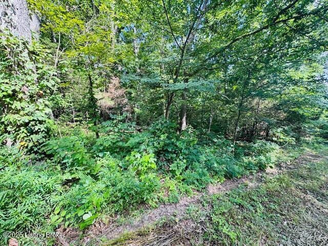 0 Lakeview Cir, Clarkson, KY 42726
