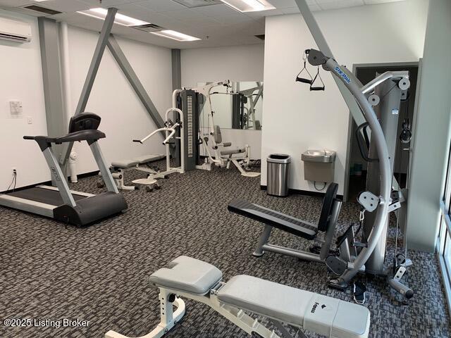 2011 Frankfort Ave Unit Unit312, Louisville, KY 40206 - workout area with a drop ceiling, a wall mounted air conditioner, and carpet