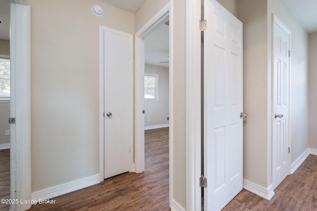 2555 Martin Ave, Louisville, KY 40216 - photo 21