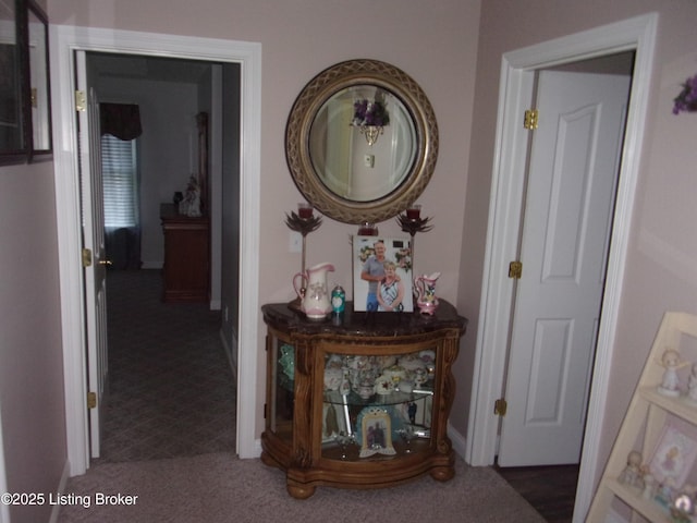 1366 Greens Chapel Rd, Bloomfield, KY 40008 - corridor with carpet