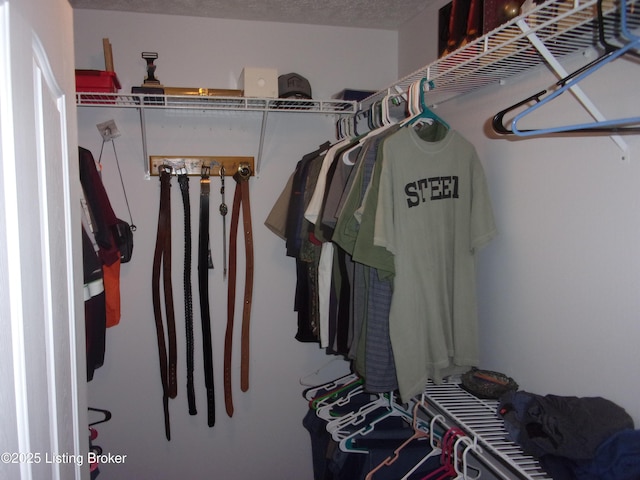 1366 Greens Chapel Rd, Bloomfield, KY 40008 - view of walk in closet