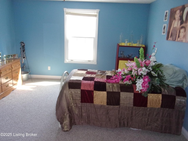 1366 Greens Chapel Rd, Bloomfield, KY 40008 - bedroom featuring carpet flooring and baseboards