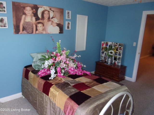 1366 Greens Chapel Rd, Bloomfield, KY 40008 - carpeted bedroom featuring baseboards