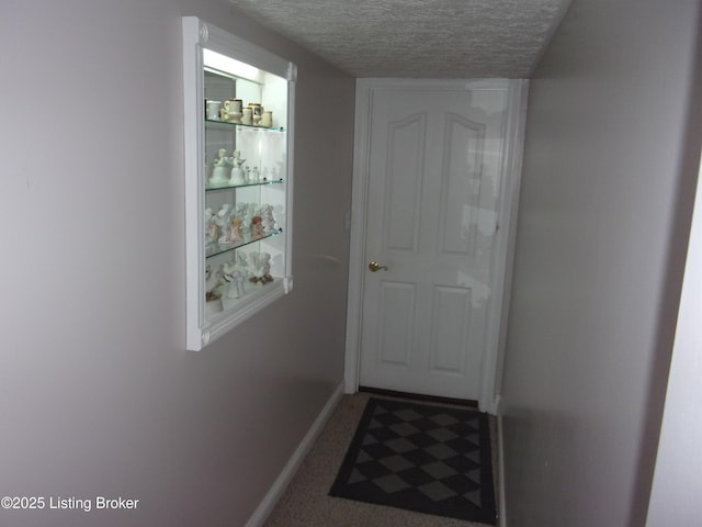 1366 Greens Chapel Rd, Bloomfield, KY 40008 - hallway featuring a textured ceiling and carpet floors