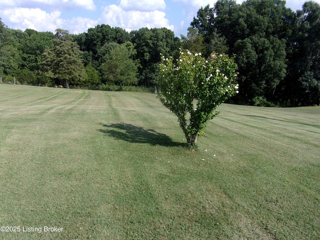 1366 Greens Chapel Rd, Bloomfield, KY 40008 - view of grassy yard