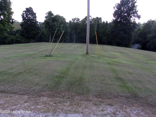 1366 Greens Chapel Rd, Bloomfield, KY 40008 - view of grassy yard