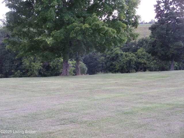 1366 Greens Chapel Rd, Bloomfield, KY 40008 - view of green lawn