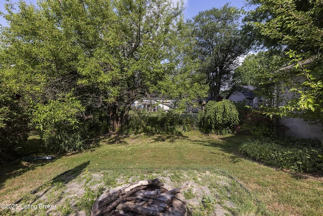 4208 Saint Thomas Ave, Louisville, KY 40218 - photo 43
