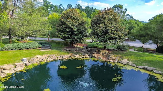 919 Artisan Pkwy, La Grange, KY 40031 - photo 75