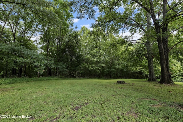 3800 Old Routt Rd, Louisville, KY 40299 - photo 68