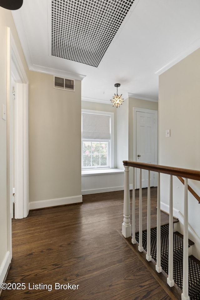 2214 Winston Ave, Louisville, KY 40205 - photo 25