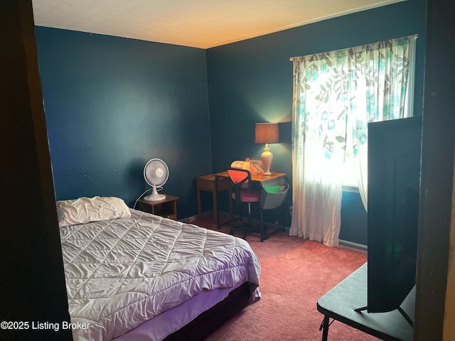 835 N Pope Lick Rd, Louisville, KY 40243 - photo 13