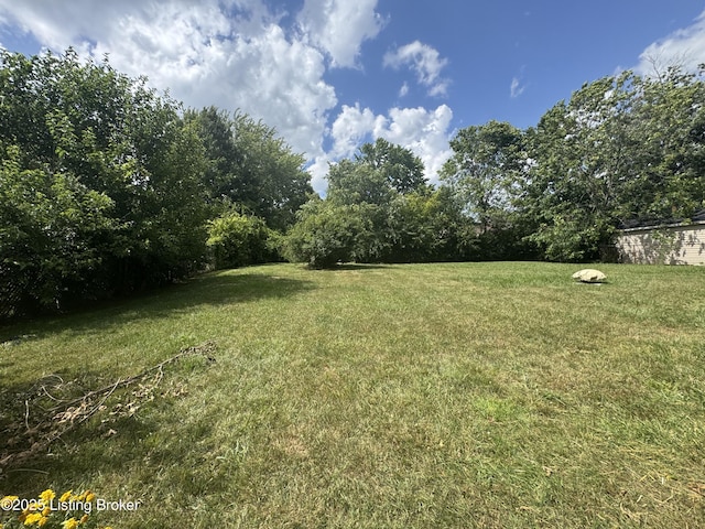 835 N Pope Lick Rd, Louisville, KY 40243 - photo 16
