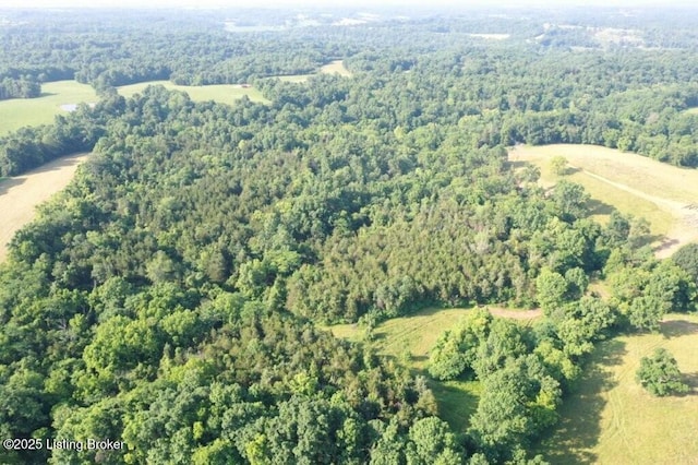 605 Solitude Rd, Coxs Creek, KY 40013 - photo 21