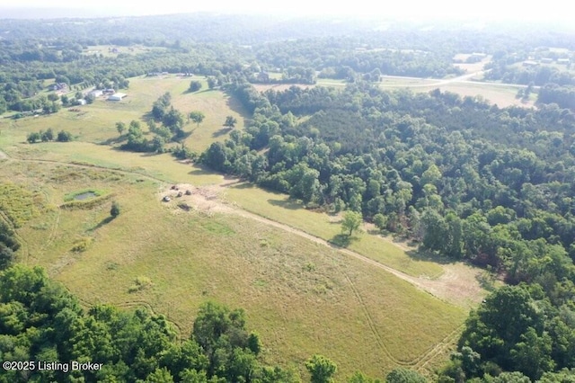 605 Solitude Rd, Coxs Creek, KY 40013 - photo 24