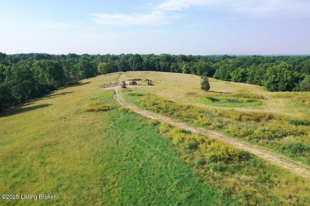 605 Solitude Rd, Coxs Creek, KY 40013 - photo 30