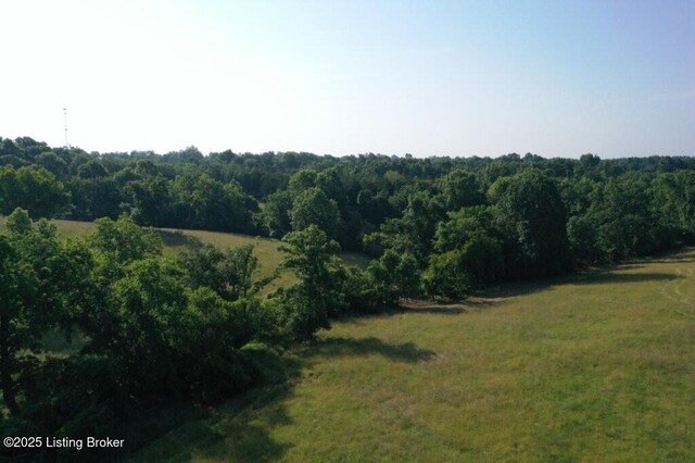 605 Solitude Rd, Coxs Creek, KY 40013 - photo 31