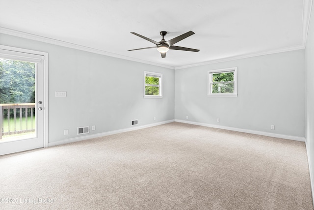 6415 Glenwood Rd, Louisville, KY 40222 - photo 27