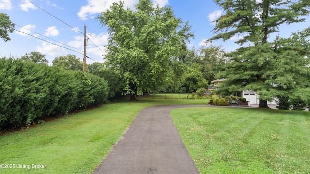 6415 Glenwood Rd, Louisville, KY 40222 - photo 81
