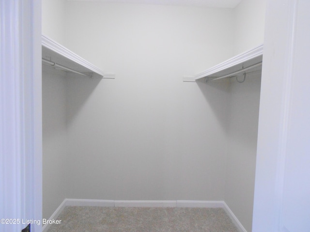 732 Poplar Flat Rd, Bardstown, KY 40004 - walk in closet with light carpet