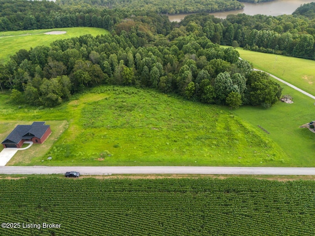 25 Capps Rd, Campbellsville, KY 42718 - photo 2