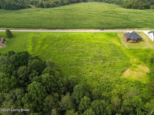 25 Capps Rd, Campbellsville, KY 42718 - photo 4