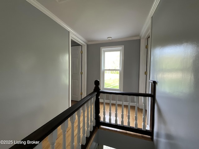 224 Spring Creek Ln, Milton, KY 40045 - photo 24