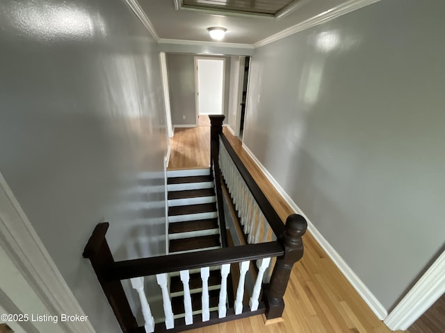 224 Spring Creek Ln, Milton, KY 40045 - photo 34