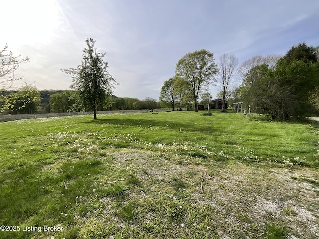 224 Spring Creek Ln, Milton, KY 40045 - photo 59