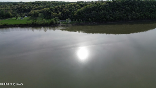 224 Spring Creek Ln, Milton, KY 40045 - photo 68