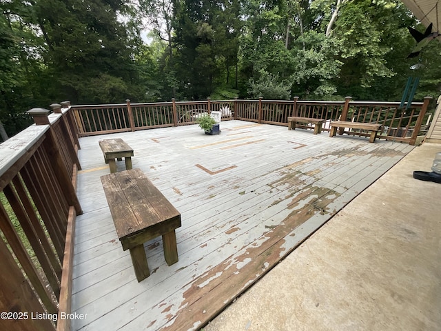 40 Sunflower Ln, Brandenburg, KY 40108 - view of deck