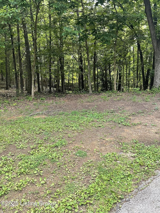 40 Sunflower Ln, Brandenburg, KY 40108 - view of wooded area