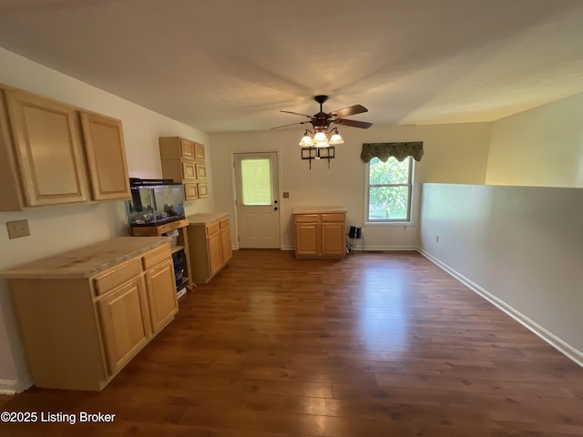 40 Sunflower Ln, Brandenburg, KY 40108 - kitchen with dark wood-type flooring, a ceiling fan, light countertops, and light brown cabinets