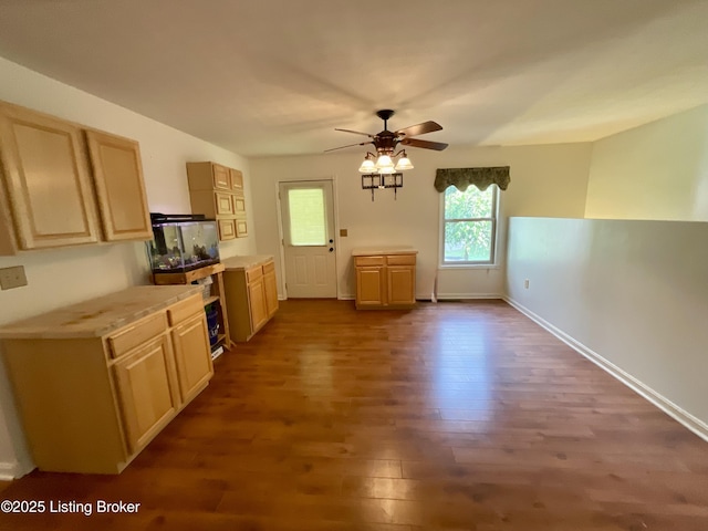 40 Sunflower Ln, Brandenburg, KY 40108 - kitchen featuring wood finished floors, a ceiling fan, light countertops, and light brown cabinets
