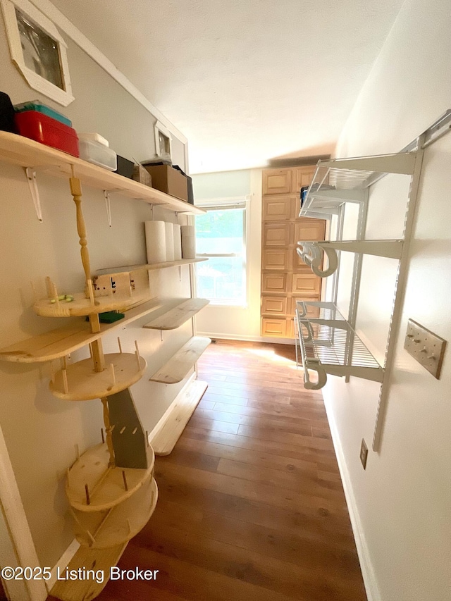 40 Sunflower Ln, Brandenburg, KY 40108 - view of storage