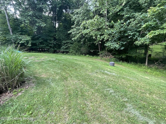 40 Sunflower Ln, Brandenburg, KY 40108 - view of grassy yard with a forest view