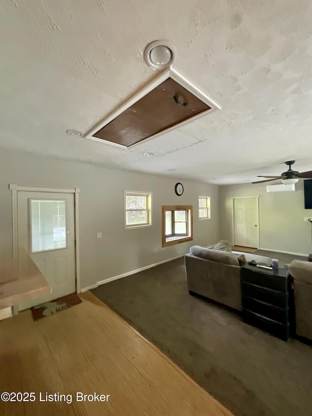 40 Sunflower Ln, Brandenburg, KY 40108 - living area with attic access, a textured ceiling, and ceiling fan