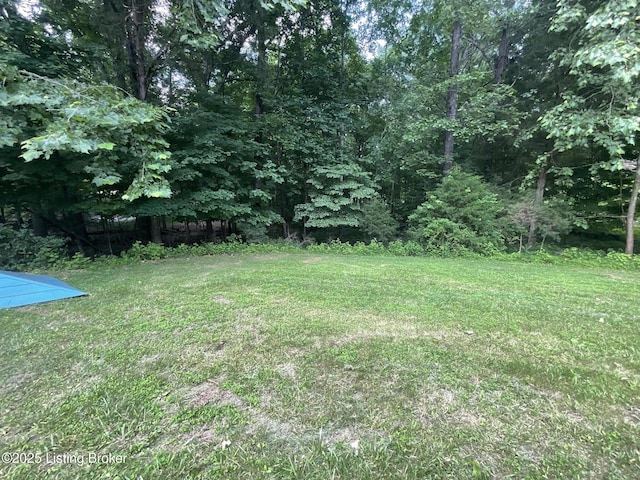 40 Sunflower Ln, Brandenburg, KY 40108 - view of green lawn